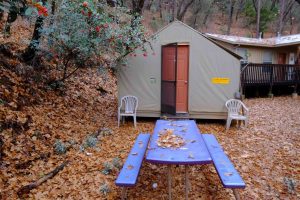 Yosemite Bug Tent Cabin
